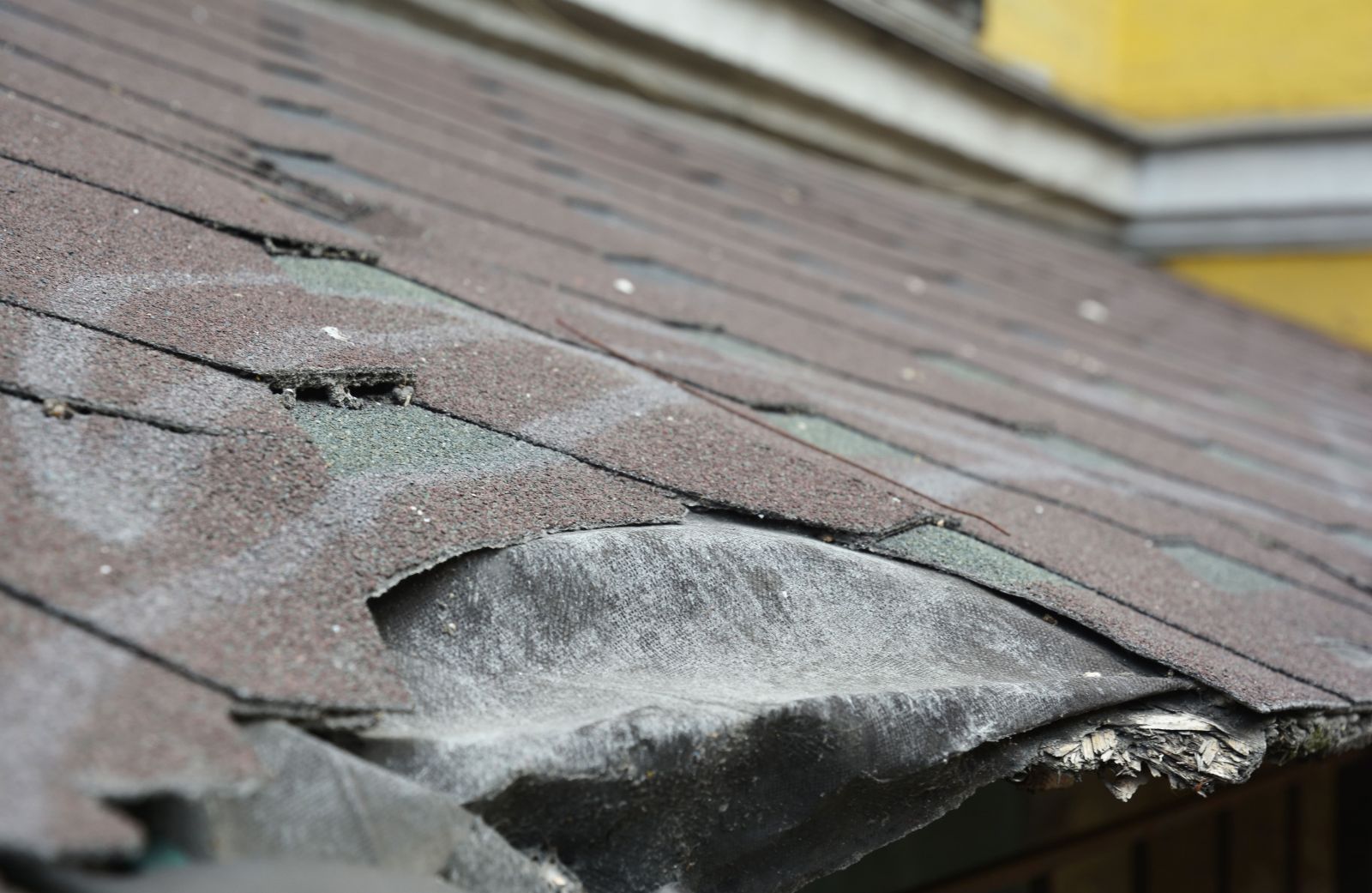 Bluffton Roofing Company Images