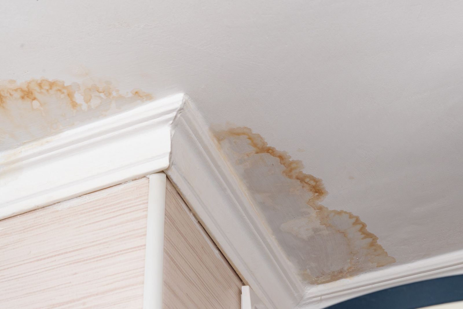 Bluffton Roofing Company Images