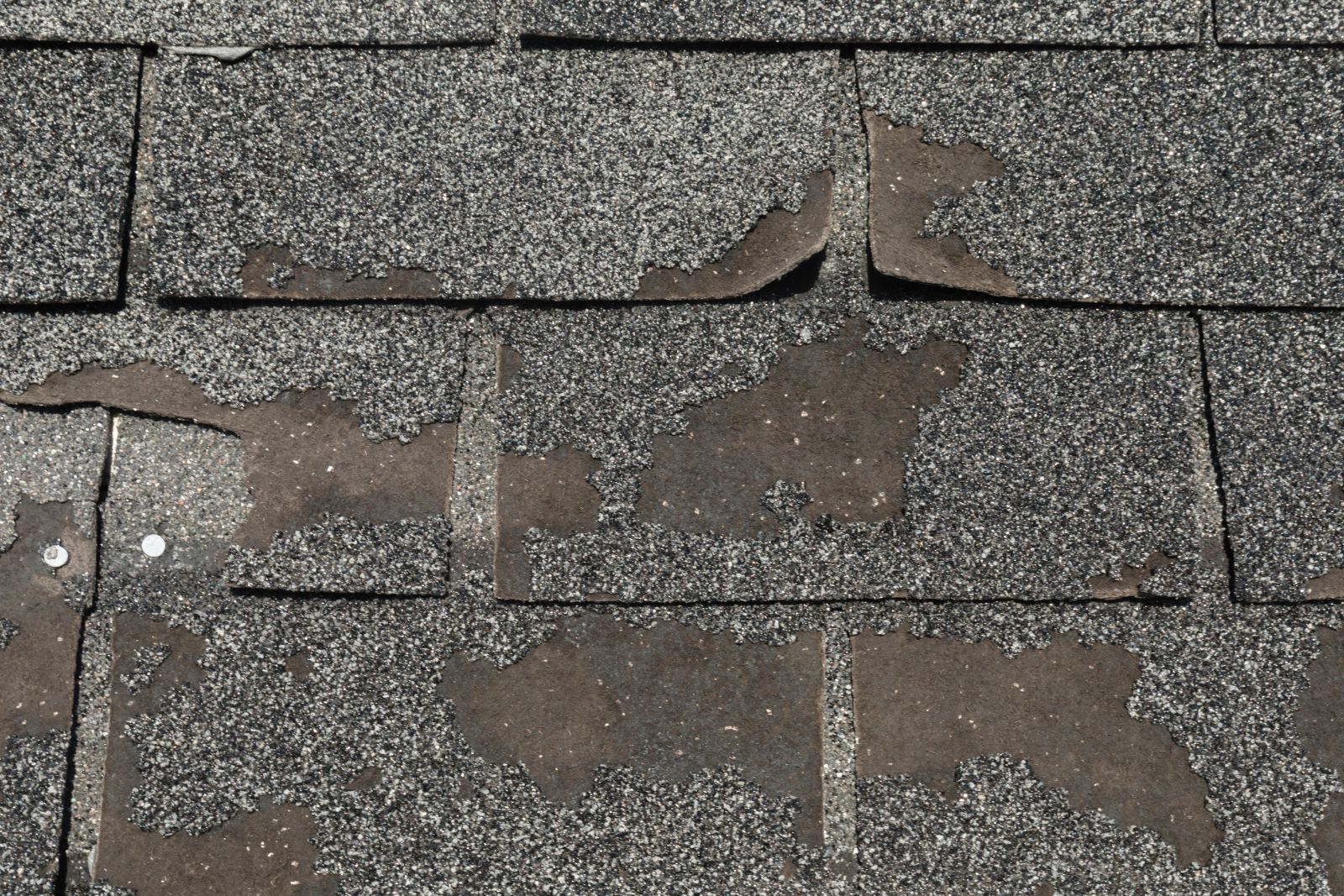 Bluffton Roofing Company Images